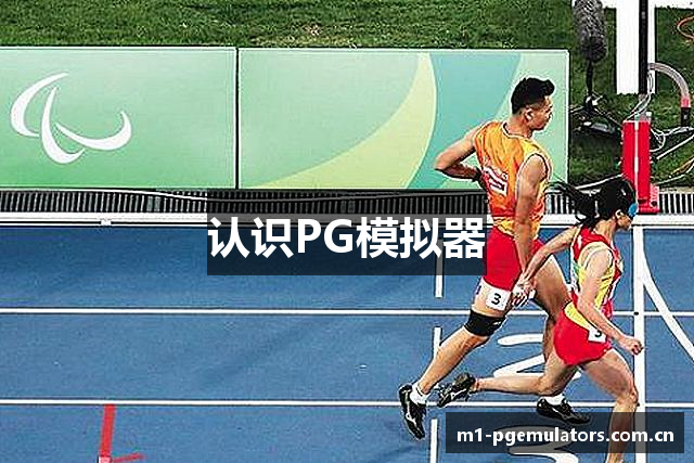 认识PG模拟器